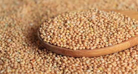 طرز استفاده از ارزن و بهترین روش استفاده از ارزن طرز استفاده از ارزن ؛ بهترین روش استفاده از ارزن