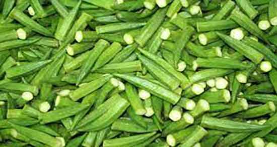 طرز تهیه آب بامیه و طریقه مصرف اب بامیه خورشتی برای درمان دیابت طرز تهیه آب بامیه ؛ طریقه مصرف اب بامیه خورشتی برای درمان دیابت