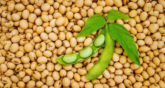 طرز تهیه آجیل سویا ؛ روشی ساده برای درست کردن آجیل سویا خوش خوراک در منزل طرز تهیه آجیل سویا ؛ روشی ساده برای درست کردن آجیل سویا خوش خوراک در منزل