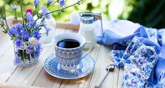 طرز تهیه جوشانده ریشه کاسنی ؛ دستور تهیه جوشانده ریشه کاسنی طرز تهیه جوشانده ریشه کاسنی ؛ دستور تهیه جوشانده ریشه کاسنی