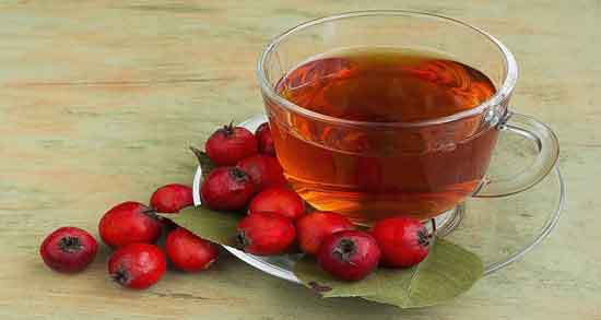 طرز تهیه چای زالزالک و آموزش درست کردن چای زالزالک به ساده ترین روش طرز تهیه چای زالزالک ؛ آموزش درست کردن چای زالزالک به ساده ترین روش