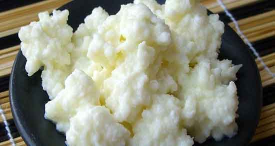 طرز نگهداری کفیر و دستور نگهداری از کفیر تازه در یخچال و فریزر طرز نگهداری کفیر ؛ دستور نگهداری از کفیر تازه در یخچال و فریزر