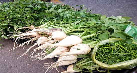 طریقه مصرف برگ ترب سفید ؛ طریقه دستور دمنوش برگ ترب سفید طریقه مصرف برگ ترب سفید ؛ طریقه دستور دمنوش برگ ترب سفید