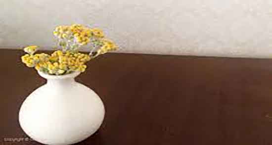 طریقه مصرف بومادران برای عفونت ؛ استفاده از بومادران برای عفونت رحم طریقه مصرف بومادران برای عفونت ؛ استفاده از بومادران برای عفونت رحم