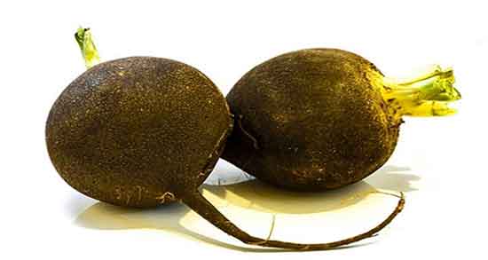 طریقه مصرف ترب سیاه و طریقه مصرف ترب سیاه برای سنگ کلیه طریقه مصرف ترب سیاه ؛ طریقه مصرف ترب سیاه برای سنگ کلیه