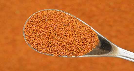 طریقه مصرف خاکشیر برای کبد چرب ؛ طریقه مصرف خاکشیر برای کبد چرب نی نی سایت طریقه مصرف خاکشیر برای کبد چرب ؛ طریقه مصرف خاکشیر برای کبد چرب نی نی سایت