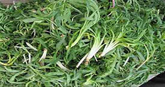 طریقه مصرف شنگ و دستور تمیز کردن و خوردن گیاه شنگ چگونه است طریقه مصرف شنگ ؛ دستور تمیز کردن و خوردن گیاه شنگ چگونه است