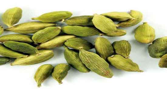 طریقه مصرف هل ؛ دستور مصرف پودر هل برای انواع کیک و غذا طریقه مصرف هل ؛ دستور مصرف پودر هل برای انواع کیک و غذا