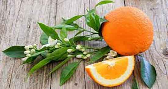 عرق بهار نارنج برای چی خوب است و ایا عرق بهار نارنج برای بارداری خوبه عرق بهار نارنج برای چی خوب است ؛ ایا عرق بهار نارنج برای بارداری خوبه