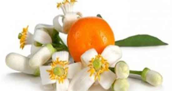 عرق بهار نارنج برای چیست و عوارض عرق بهار نارنج برای بدن چیست عرق بهار نارنج برای چیست ؛ عوارض عرق بهار نارنج برای بدن چیست