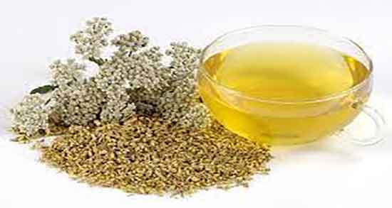 عرق بومادران برای سقط و عرق بومادران باعث سقط جنین می شود عرق بومادران برای سقط ؛ عرق بومادران باعث سقط جنین می شود