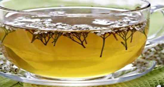 عرق بومادران و تنبلی تخمدان و ایا عرق بومادران برای تنبلی تخمدان خوبه عرق بومادران و تنبلی تخمدان ؛ ایا عرق بومادران برای تنبلی تخمدان خوبه