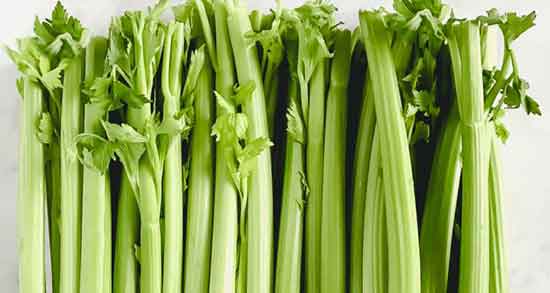 عرق کرفس در طب سنتی ؛ خواص خوردن عرق کرفس در طب سنتی عرق کرفس در طب سنتی ؛ خواص خوردن عرق کرفس در طب سنتی