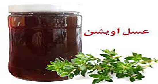 عسل آویشن برای دیابت ؛ ایا خوردن عسل اویشن برای دیابت مفید است عسل آویشن برای دیابت ؛ ایا خوردن عسل اویشن برای دیابت مفید است