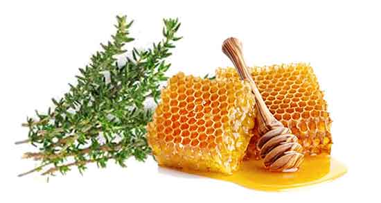 عسل آویشن در بارداری و خاصیت خوردن عسل آویشن برای زنان حامله عسل آویشن در بارداری ؛ خاصیت خوردن عسل آویشن برای زنان حامله