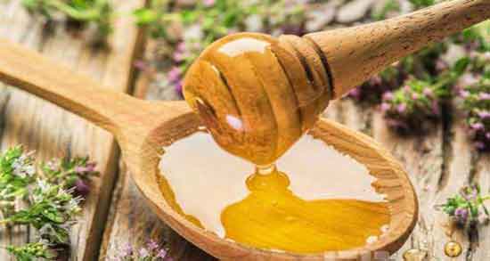 عسل آویشن در دوران بارداری ؛ ایا عسل اویشن برای زنان باردار مفیده عسل آویشن در دوران بارداری ؛ ایا عسل اویشن برای زنان باردار مفیده