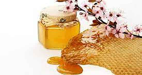 عسل آویشن چیست ؛ خواص مصرف عسل آویشن برای پوست صورت عسل آویشن چیست ؛ خواص مصرف عسل آویشن برای پوست صورت