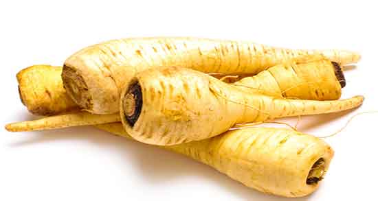 عسل شقاقل ؛ تاثیر دارویی عسل شقاقل برای درمان ناباروری عسل شقاقل ؛ تاثیر دارویی عسل شقاقل برای درمان ناباروری