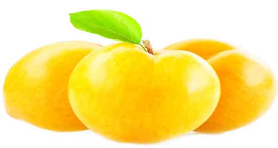 عوارض آلو زرد و همه چیز درباره عوارضی که آلو زرد برای سلامتی دارد عوارض آلو زرد ؛ همه چیز درباره عوارضی که آلو زرد برای سلامتی دارد