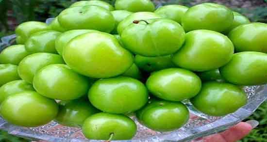 عوارض آلوچه سبز و بررسی عوارض خوردن آلوچه سبز برای سلامتی بدن عوارض آلوچه سبز ؛ بررسی عوارض خوردن آلوچه سبز برای سلامتی بدن