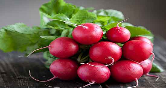 عوارض ترب و ایا خوردن اب ترب برای زنان باردار مضر است یا نه عوارض ترب ؛ ایا خوردن اب ترب برای زنان باردار مضر است یا نه