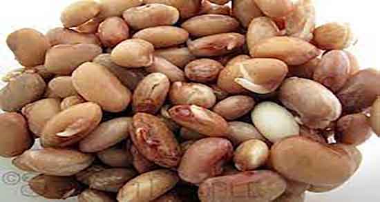 عوارض جوانه لوبیا ؛ خوردن جوانه لوبیا برای چه کسانی مضر است عوارض جوانه لوبیا ؛ خوردن جوانه لوبیا برای چه کسانی مضر است