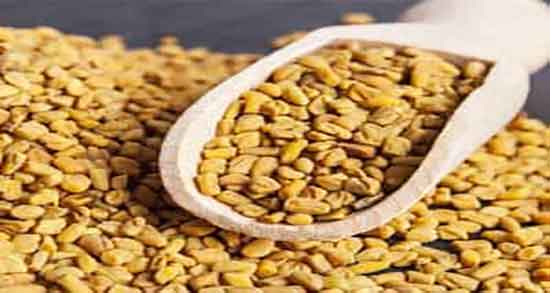 عوارض دانه شنبلیله و عوارض مصرف دانه شنبلیله برای زنان باردار عوارض دانه شنبلیله ؛ عوارض مصرف دانه شنبلیله برای زنان باردار