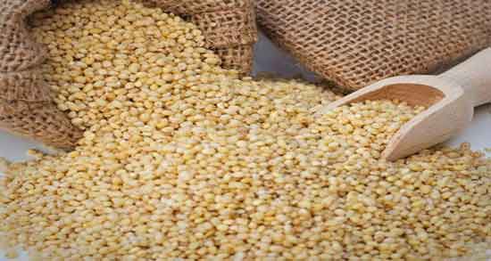 عوارض مصرف ارزن و همه چیز درباره عوارض و مضرات مصرف ارزن عوارض مصرف ارزن ؛ همه چیز درباره عوارض و مضرات مصرف ارزن