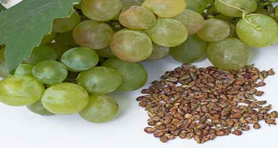 عوارض هسته انگور ؛ عوارض مصرف روغن هسته انگور برای بارداران عوارض هسته انگور ؛ عوارض مصرف روغن هسته انگور برای بارداران