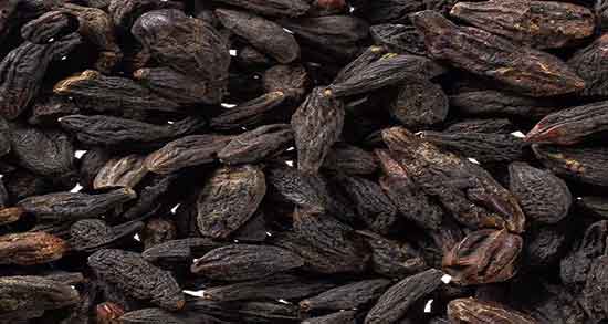 عوارض هلیله سیاه و مضرات مصرف هلیله سیاه برای زنان باردار عوارض هلیله سیاه ؛ مضرات مصرف هلیله سیاه برای زنان باردار