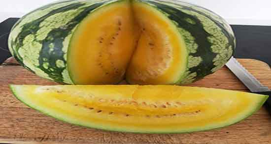 عوارض هندوانه زرد ؛ ایا خوردن هندوانه زرد برای زنان باردار مضر است عوارض هندوانه زرد ؛ ایا خوردن هندوانه زرد برای زنان باردار مضر است