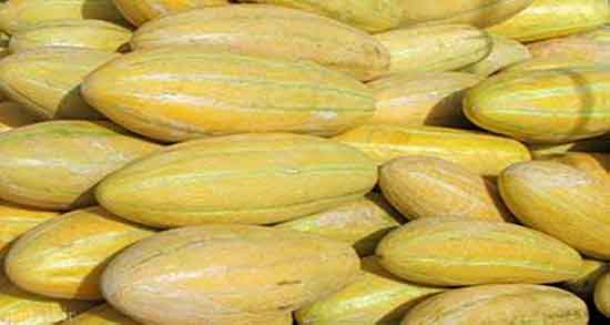 عوارض پوست خربزه ؛ ایا استفاده از پوست خربزه برای صورت مضره عوارض پوست خربزه ؛ ایا استفاده از پوست خربزه برای صورت مضره