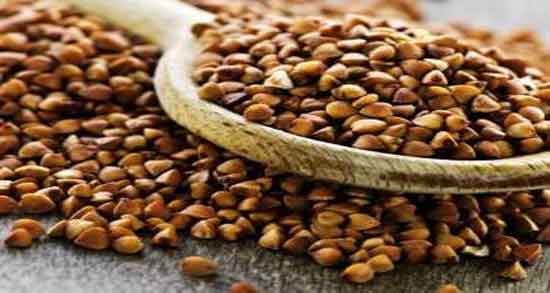 عوارض گندم سیاه و خوردن گندم سیاه چه عوارضی برای سلامتی دارد عوارض گندم سیاه ؛ خوردن گندم سیاه چه عوارضی برای سلامتی دارد