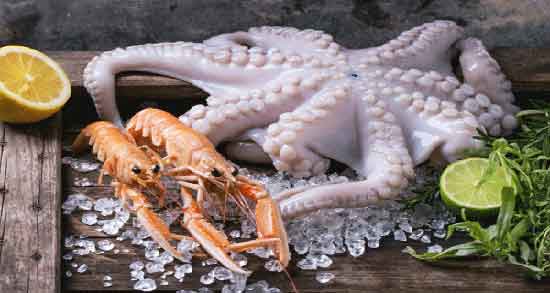 عوارض گوشت اختاپوس و مضرات مصرف گوشت اختاپوس برای بدن عوارض گوشت اختاپوس ؛ مضرات مصرف گوشت اختاپوس برای بدن