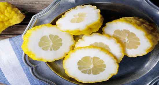 عکس بالنگ و مشخصات ظاهری میوه بالنگ چگونه است عکس بالنگ ؛ مشخصات ظاهری میوه بالنگ چگونه است