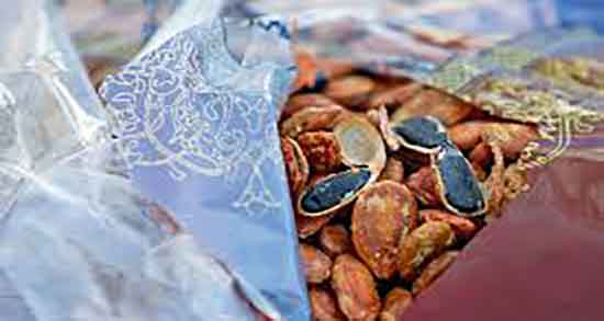 عکس تخمه ژاپنی ؛ شکل ظاهری گیاه تخمه ژاپنی برای مخلوط اجیل عکس تخمه ژاپنی ؛ شکل ظاهری گیاه تخمه ژاپنی برای مخلوط اجیل