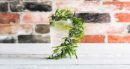 عکس ترخون خشک ؛ شکل ظاهری ترخون خشک شده چگونه است عکس ترخون خشک ؛ شکل ظاهری ترخون خشک شده چگونه است