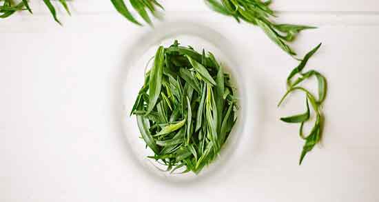 عکس ترخون خشک شده و شکل ظاهری ترخون خشک شده عکس ترخون خشک شده ؛ شکل ظاهری ترخون خشک شده