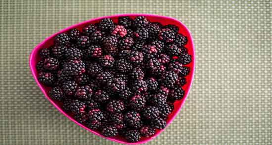 عکس تمشک و آشنایی با مشخصات ظاهری تمشک عکس تمشک ؛ آشنایی با مشخصات ظاهری تمشک