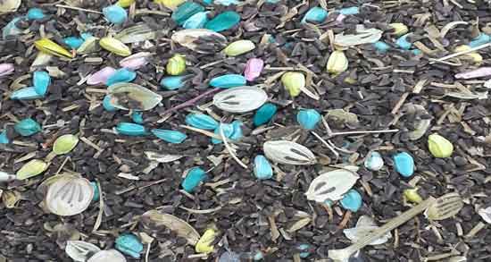 فرق اسپند خوراکی با غیرخوراکی و چه تفاوت هایی بین اسپند خوراکی و غیرخوراکی وجود دارد فرق اسپند خوراکی با غیرخوراکی ؛ چه تفاوت هایی بین اسپند خوراکی و غیرخوراکی وجود دارد