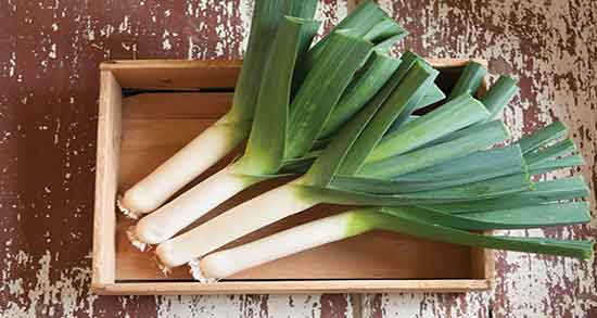 فرق تره فرنگی با تره کوهی و تفاوت ظاهری تره فرنگی و تره کوهی فرق تره فرنگی با تره کوهی ؛ تفاوت ظاهری تره فرنگی و تره کوهی