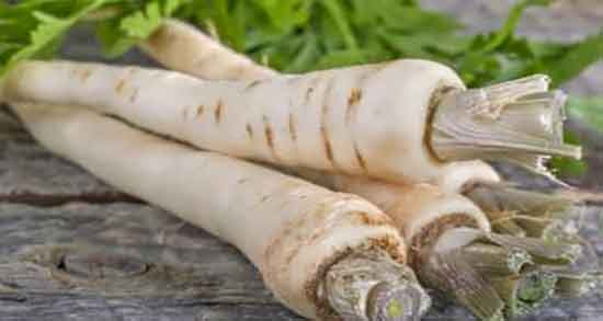 فصل برداشت شقاقل و زمان برداشت شقاقل بهار است یا زمستان فصل برداشت شقاقل ؛ زمان برداشت شقاقل بهار است یا زمستان