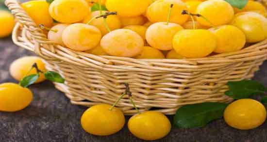 فواید آلو زرد و آشنایی با خواص و فواید درمانی مصرف آلو زرد فواید آلو زرد ؛ آشنایی با خواص و فواید درمانی مصرف آلو زرد