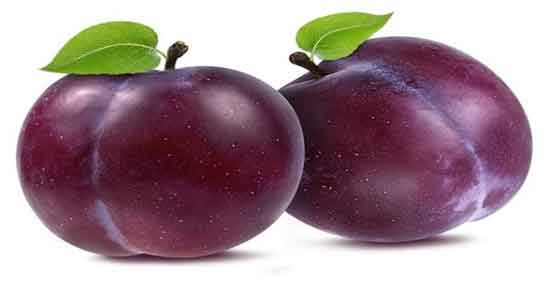 فواید آلو سیاه ؛ آشنایی با خواص درمانی و فواید خوردن آلو سیاه برای بدن فواید آلو سیاه ؛ آشنایی با خواص درمانی و فواید خوردن آلو سیاه برای بدن