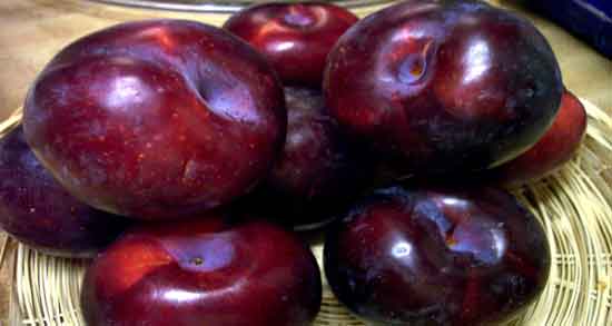 فواید آلو سیاه در بارداری ؛ درمان یبوست و کم خونی زنان باردار با مصرف آلو سیاه فواید آلو سیاه در بارداری ؛ درمان یبوست و کم خونی زنان باردار با مصرف آلو سیاه