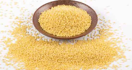 فواید ارزن برای پرنده و خواص و فواید استفاده از ارزن برای غذای پرنده ها فواید ارزن برای پرنده ؛ خواص و فواید استفاده از ارزن برای غذای پرنده ها