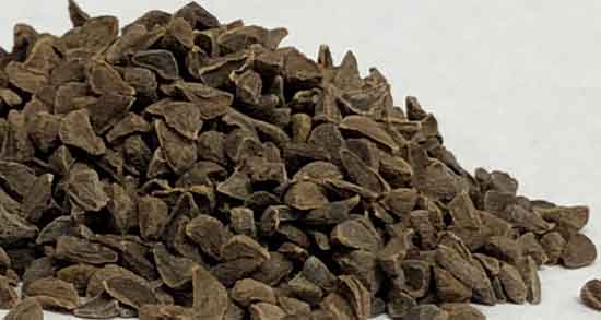 فواید اسپند برای بدن ؛ درمان صرع و بی خوابی شبانه با اسپند فواید اسپند برای بدن ؛ درمان صرع و بی خوابی شبانه با اسپند