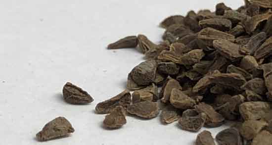 فواید اسپند برای لاغری ؛ آیا استفاده از اسپند تاثیری در لاغری دارد فواید اسپند برای لاغری ؛ آیا استفاده از اسپند تاثیری در لاغری دارد