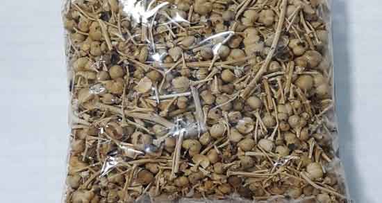 فواید اسپند در اسلام و شفای هفتاد و دو مرض با اسپند فواید اسپند در اسلام ؛ شفای هفتاد و دو مرض با اسپند