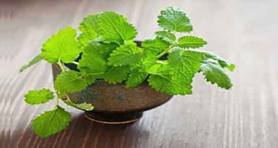 فواید بادرنجبویه برای اعصاب و خاصیت بادرنجبویه برای تقویت اعصاب فواید بادرنجبویه برای اعصاب ؛ خاصیت بادرنجبویه برای تقویت اعصاب